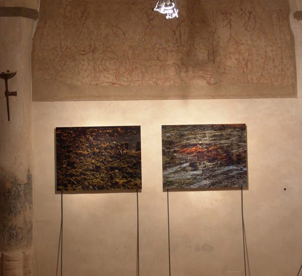 Terre in mostra
